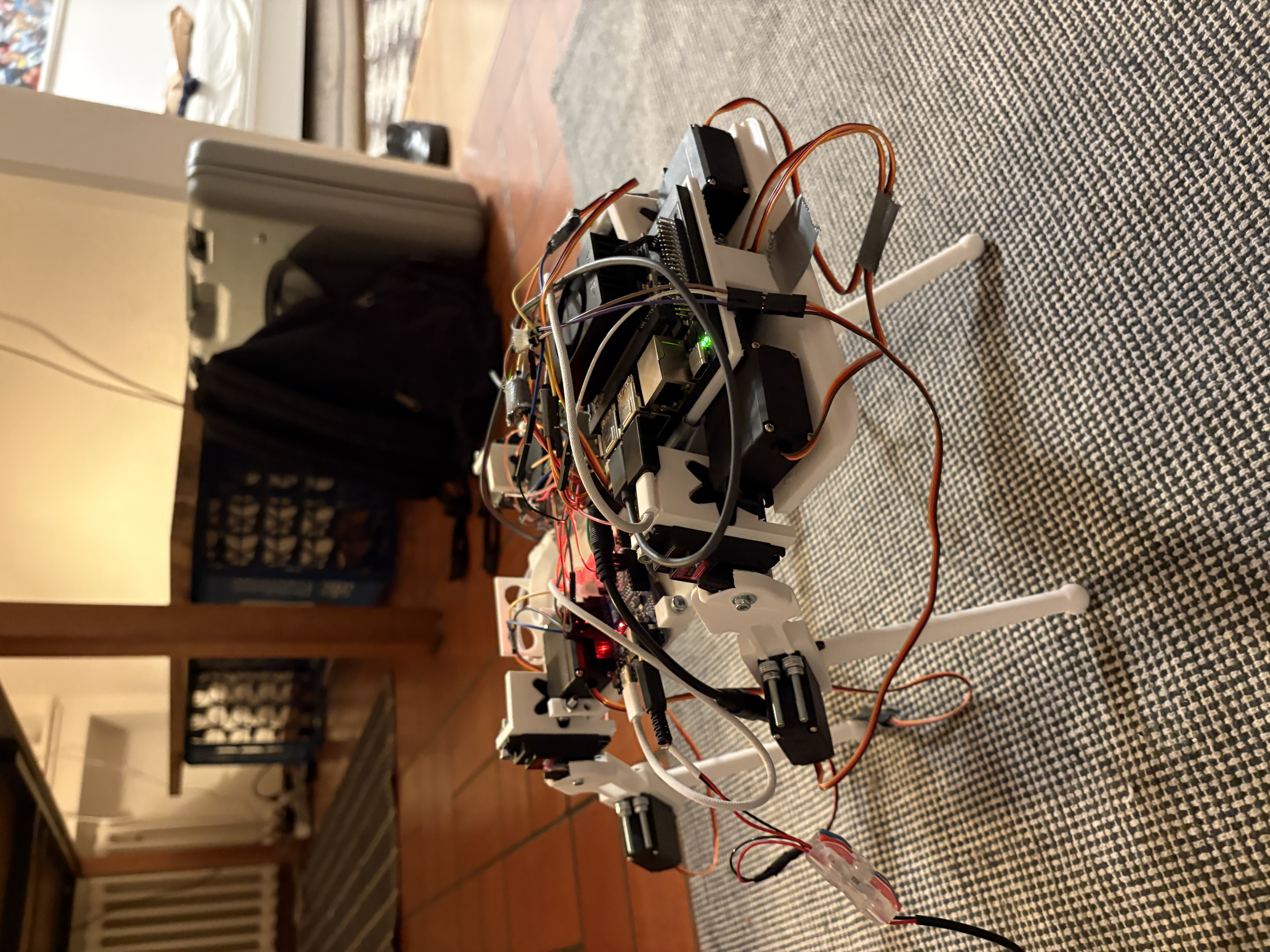 Rocky v1 assembled